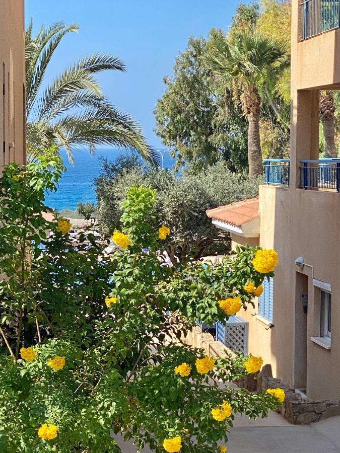 Beautiful Apartment Near The Sea And A Large Private Garden Paphos Exteriör bild